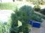 huis